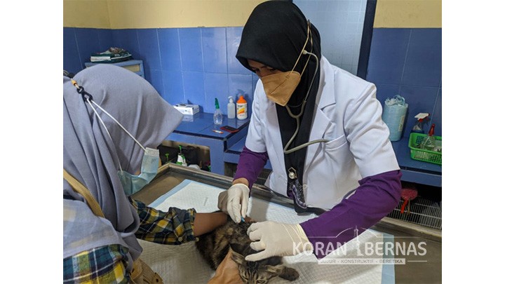 Vaksinasi Rabies Digelar di Balai Karantina Pertanian Bandaya YIA
