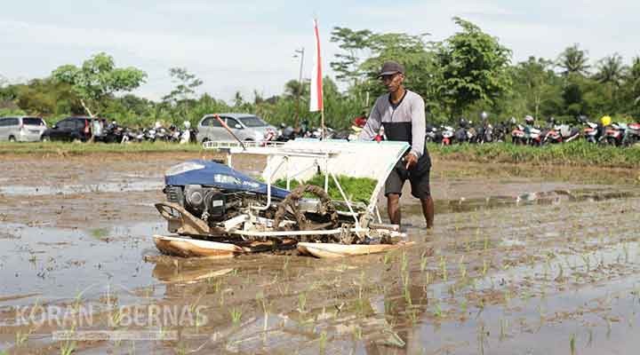 Pakai Teknologi Rice Transplanter Tanam Padi Kini Lebih Cepat