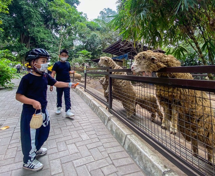 Zoopedaan Bersama Dafam Fortuna Yogyakarta