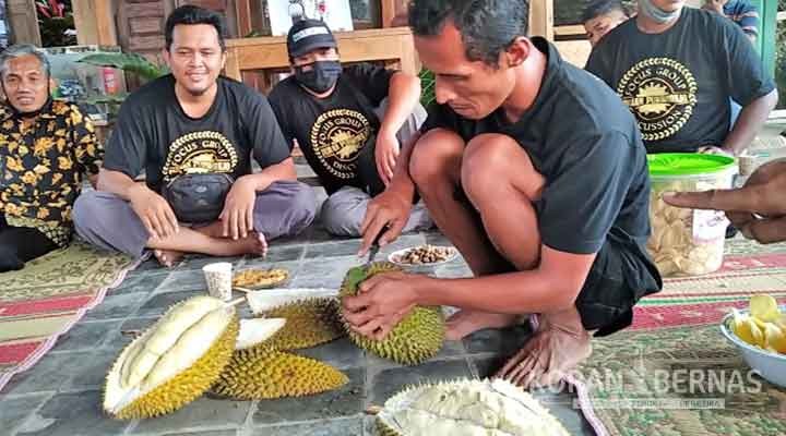 Durian Sikatap Unggulan Purworejo Rasanya Mantap