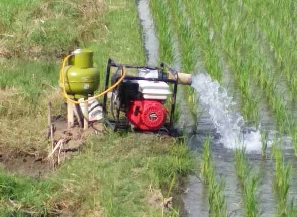 Lebih Irit, Petani Memilih LPG Sebagai Bahan Bakar Mesin Penyedot Air 