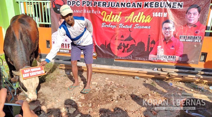 DPC PDI Perjuangan Kebumen Kurban Tiga Ekor Sapi