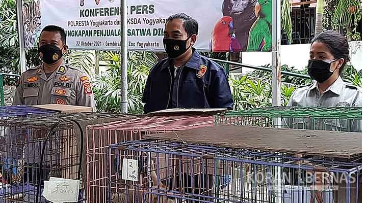 Polresta dan BKSDA Yogyakarta Ungkap Penjualan Satwa Dilindungi Via Online