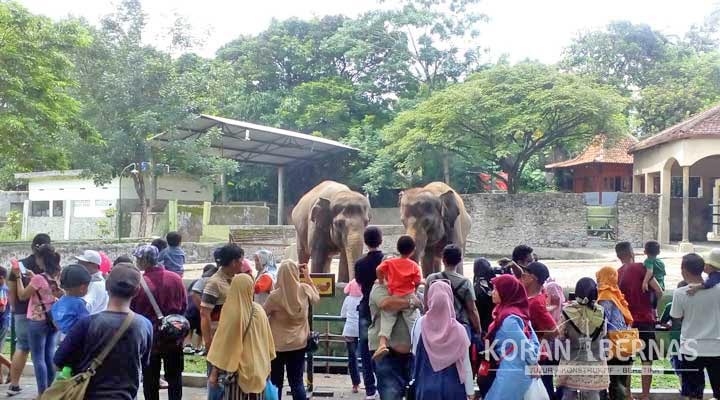 Obyek Wisata GL Zoo Dibanjiri Pengunjung