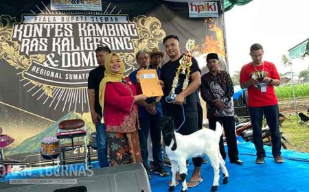 Digelar Kontes Kambing Ras Keligesing dan Domba Lokal
