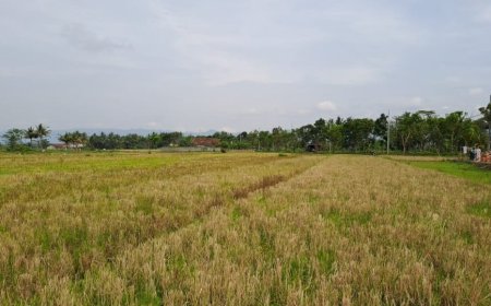 Antisipasi Kemarau Panjang, Sleman Siapkan Bantuan Pompa Air