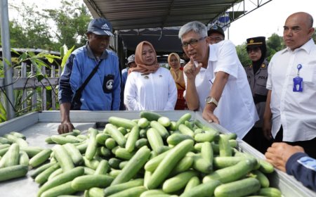 Manfaatkan Tanah Kas Desa, Warga Soka Binangun Budidaya Mentimun Baby
