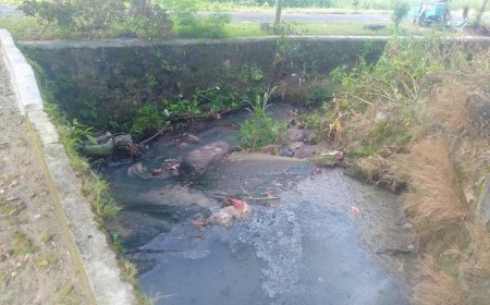 Putih, Air Sungai Berbau Limbah Industri