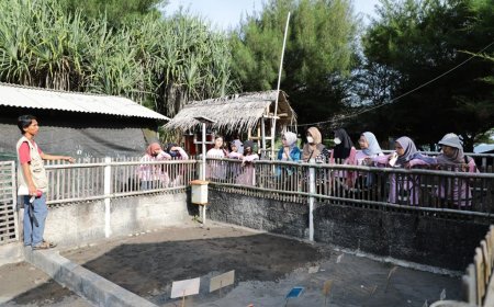 Perempuan Milenial Pendukung Ganjar Tanam Pandan Laut dan Bersih-Bersih Pantai di Bantul