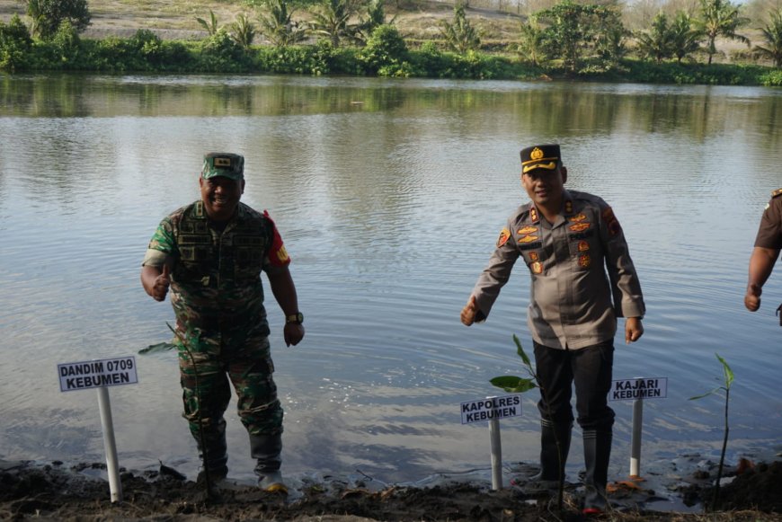 Personel TNI dan Polri Tanam Mangrove di Pantai Mirit