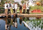 Benih Tanaman Pangan JAP Mampu Bertahan pada Cuaca Ekstrem, Produktivitasnya 10 Ton Per Hektar
