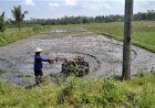 Musim Tanam I, Petani Kebumen Menghadapi Keterbatasan Air dan Pupuk Subsidi