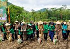 Gunungkidul Menjadi Lumbung Kedelai Wilayah Jawa