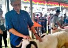 Sleman Masih Kekurangan Ketersediaan Hewan Kurban