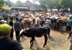 Menjelang Idul Adha, Pemeriksaan Ternak di Pasar Bonyokan Diperketat