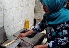Egg Roll Tempe Buatan KWT Rahayu Renyah dan Enak