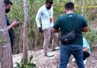 Mirip Makam, Dibongkar Ternyata Hanya Gundukan