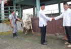 Polres Kebumen Kurban Tiga Ekor Sapi 