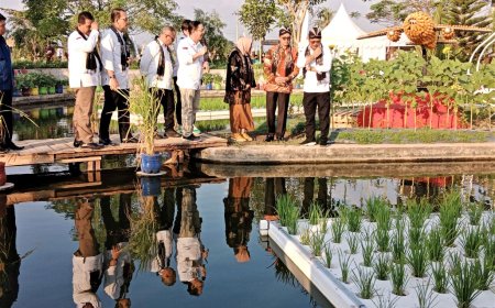 Benih Tanaman Pangan JAP Mampu Bertahan pada Cuaca Ekstrem, Produktivitasnya 10 Ton Per Hektar