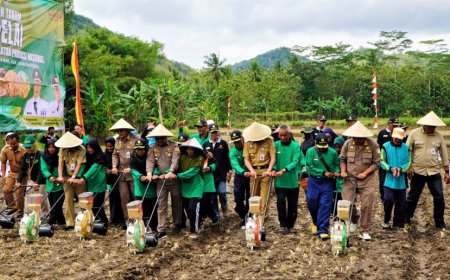 Gunungkidul Menjadi Lumbung Kedelai Wilayah Jawa