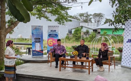 Digitalisasi Bisa Memperluas Pasar Produk UMKM Skala Rumah Tangga