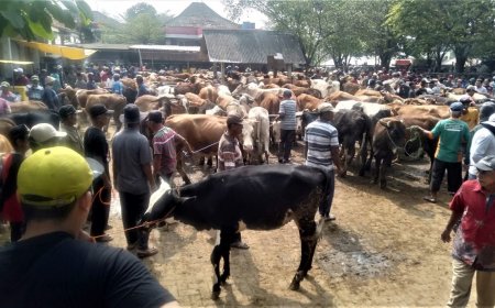 Menjelang Idul Adha, Pemeriksaan Ternak di Pasar Bonyokan Diperketat