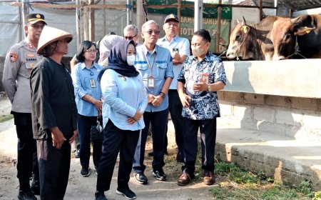 Kebutuhan Belum Terpenuhi, Hewan Kurban Didatangkan dari Luar Daerah