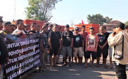 Harga Melambung, Pemasok Daging Ayam Gelar Aksi Damai