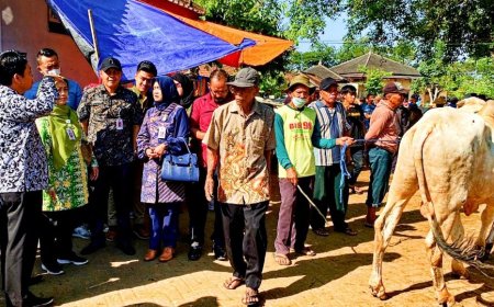 Surplus, Hewan Kurban di Gunungkidul Siap Dikirim ke Berbagai Wilayah