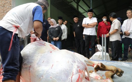 Pastikan Kesehatan Hewan Kurban, Pemkab Sleman Pantau Penyembelihan
