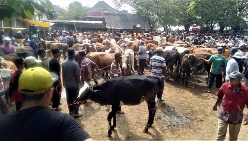 Menjelang Idul Adha, Pemeriksaan Ternak di Pasar Bonyokan Diperketat