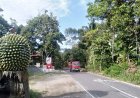 Gelap Saat Malam, Jalan Karangnongko-Pasar Kembang Kemalang Rawan Kejahatan