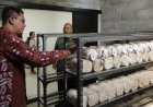 Unit Pengembangan Jamur Diresmikan, Menyejahterakan Petani