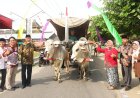 Bupati Beri Apresiasi Kirab Budaya Donoharjo, Masyarakat Rukun