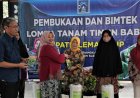 Petani Sleman Mengembangkan Timun Baby, Bisa Panen 35 Kali Sebulan