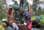 Unsoed Bantu Pengembangan Agrowisata Tambi sebagai Destinasi Unggulan