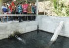 Bak Tangkap Sumber Air Pamdes Tirtosari Diresmikan