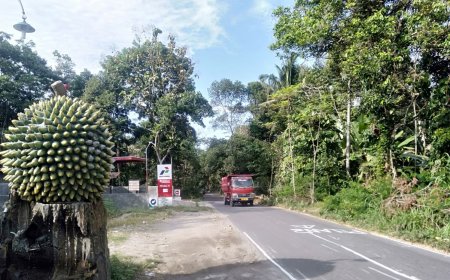 Gelap Saat Malam, Jalan Karangnongko-Pasar Kembang Kemalang Rawan Kejahatan