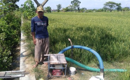 Selamatkan Tanaman Padi, Petani di Trucuk Klaten Sedot Air dari Sumur Irigasi