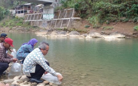 32 Ribu Benih Ikan Lokal Ditebar ke Sungai