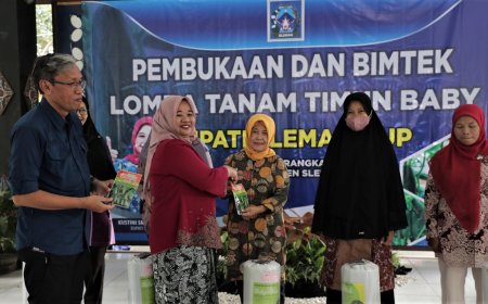 Petani Sleman Mengembangkan Timun Baby, Bisa Panen 35 Kali Sebulan