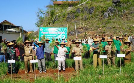 Hasil Melimpah, Tanah Kas Desa Jadi Lahan Bawang Merah