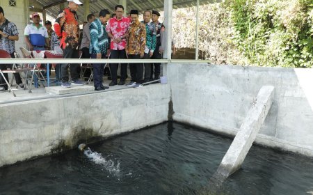 Bak Tangkap Sumber Air Pamdes Tirtosari Diresmikan