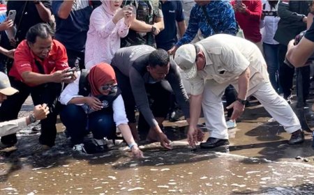 Susi dan Prabowo Ikut Melepasliarkan Ratusan Tukik Penyu Lekang di Pangandaran