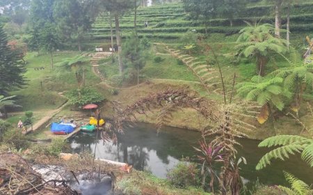 Agrowisata Pagilaran Butuh Pembenahan