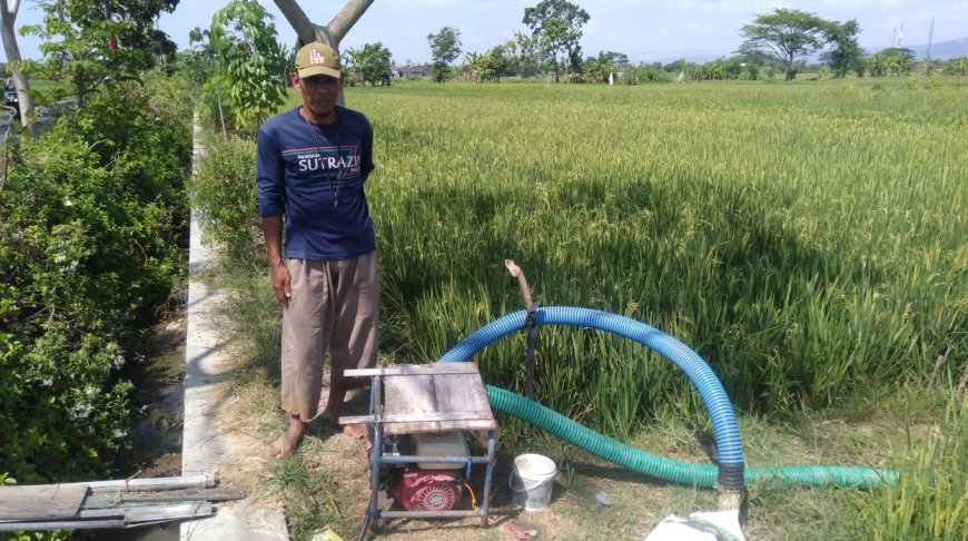 Selamatkan Tanaman Padi, Petani di Trucuk Klaten Sedot Air dari Sumur Irigasi