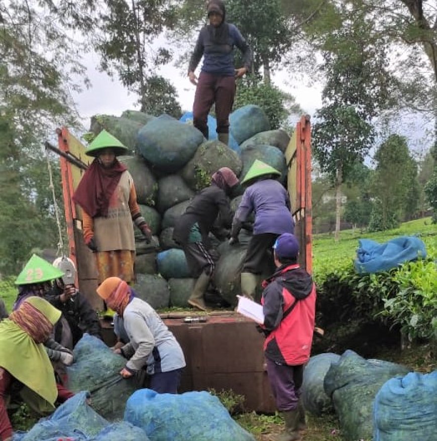Unsoed Bantu Pengembangan Agrowisata Tambi sebagai Destinasi Unggulan