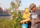 Agar Menghijau, Bantul Moncer Memupuk Taman Kota