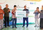 Hamparan Lidah Buaya Jadi Kampung Wisata Edukasi Aloevera