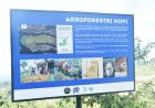 Berhasil Kembangkan Agroforestri, Pemuda Desa Mriyan Jadi Betah di Kampung Sendiri